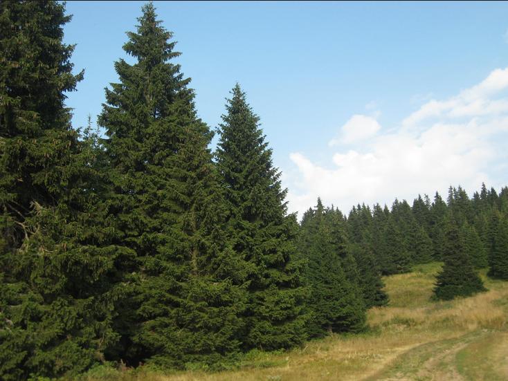 Posle Fruške gore, ulaganja i na Rudniku